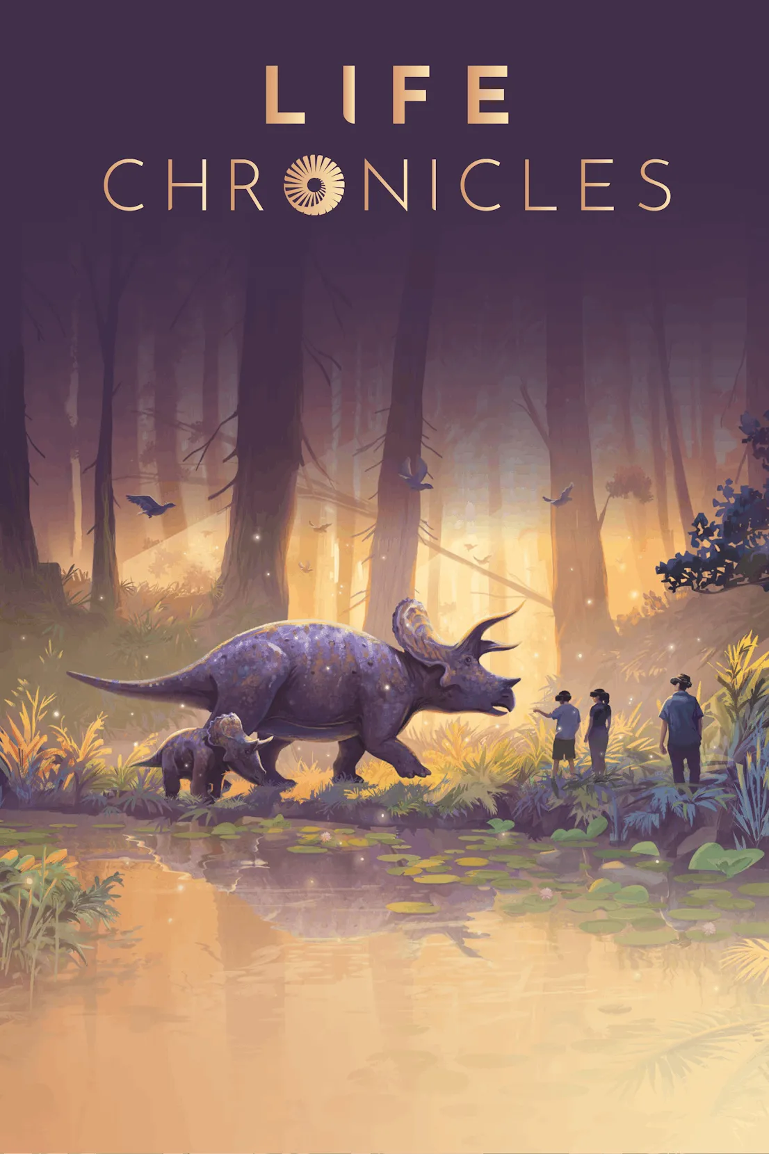 Life Chronicles poster